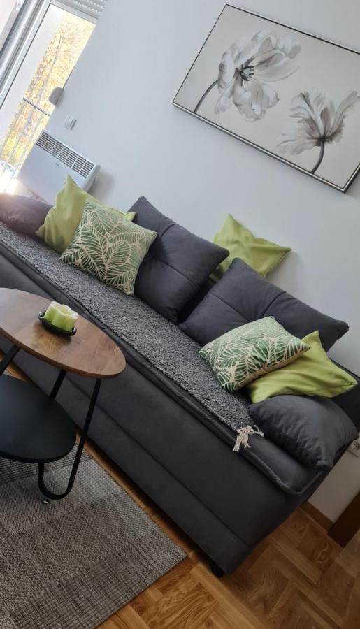 Apartman Tim Lux 2 Vrnjačka Banja エクステリア 写真